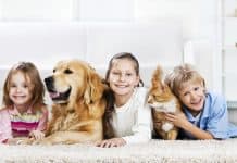 Benefits Of Children Growing Up With Pets
