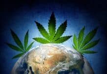 Illinois To Legalize Cannabis Possession And Trade