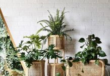 Rattan is the Effortlessly Cool Sustainable Design Trend That is Taking Over