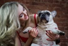 The Ultimate Guide to Owning French Bulldog Puppies: Everything You Need to Know