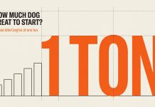 Private label dog treats: what a first order from Vietnam really involves Poster showing one ton as the starting point for private label dog treats